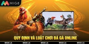 QUY ĐỊNH VÀ LUẬT CHƠI ĐÁ GÀ ONLINE