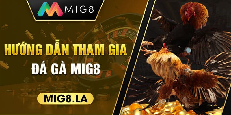 Hướng dẫn tham gia đá gà Mig8