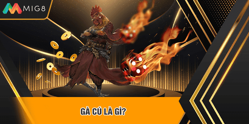Gà cú là gì?