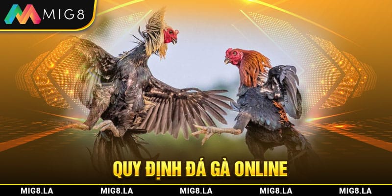 Quy định về đá gà online
