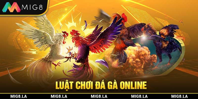 Luật chơi về đá gà online