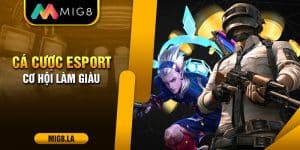 Cá cược Esport