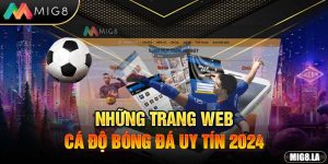 Top trang cá độ bóng đá