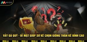 VẢY GÀ QUÝ