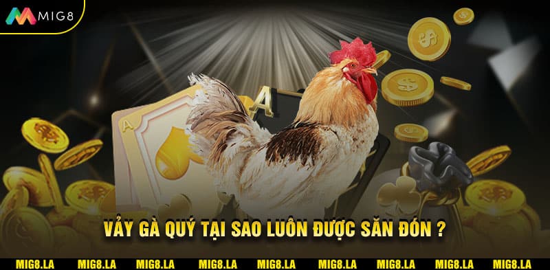 Tại sao vảy gà quý luôn được săn đón