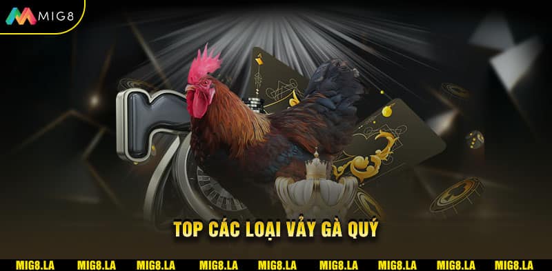 Top các loai vảy gà quý