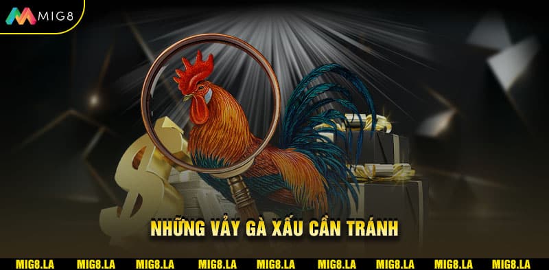 Những vảy gà xấu cần tránh
