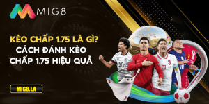 Kèo chấp 1.75