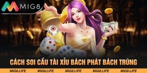 Cách Soi Cầu Tài Xỉu Chơi Đâu Thắng Đó