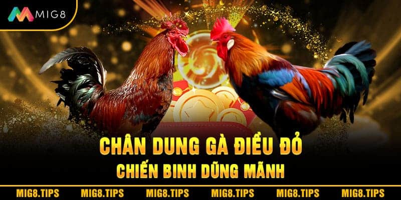 Chân dung gà điều đỏ - Chiến binh dũng mãnh