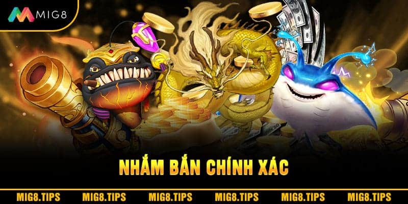 Nhắm bắn chính xác