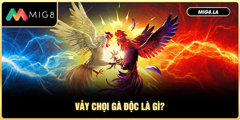 Khái niệm vảy gà chọi độc cho người mới